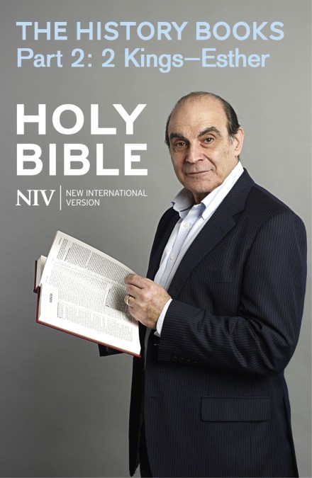 NIV Bible: the History Books – Part 2