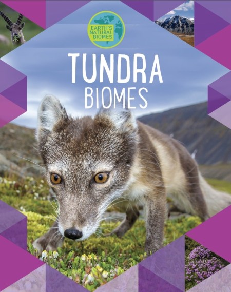 Earth’s Natural Biomes: Tundra