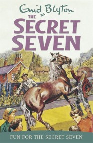 Secret Seven: Fun For The Secret Seven