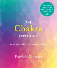 The Chakra Experience