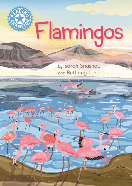 Reading Champion: Flamingos