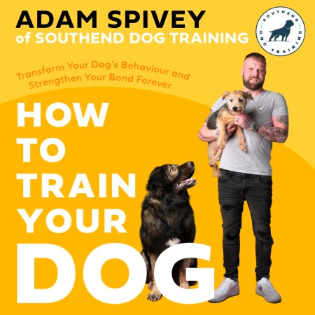 How to Train Your Dog