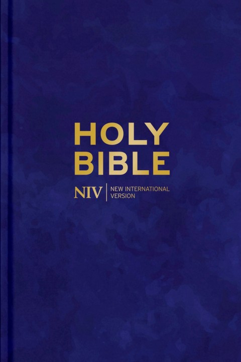 NIV Larger Print Personal Velvet Bible