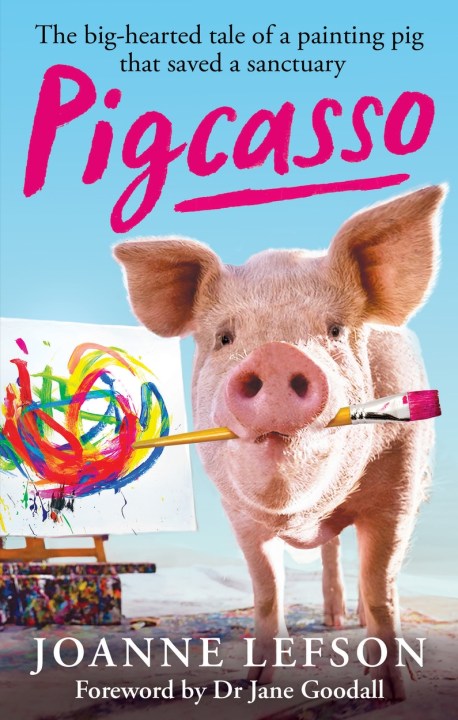 Pigcasso