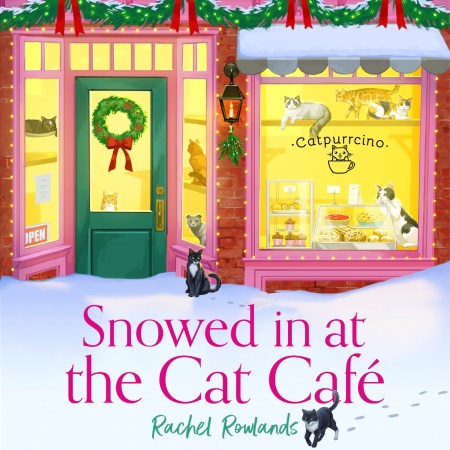 Snowed In at the Cat Cafe