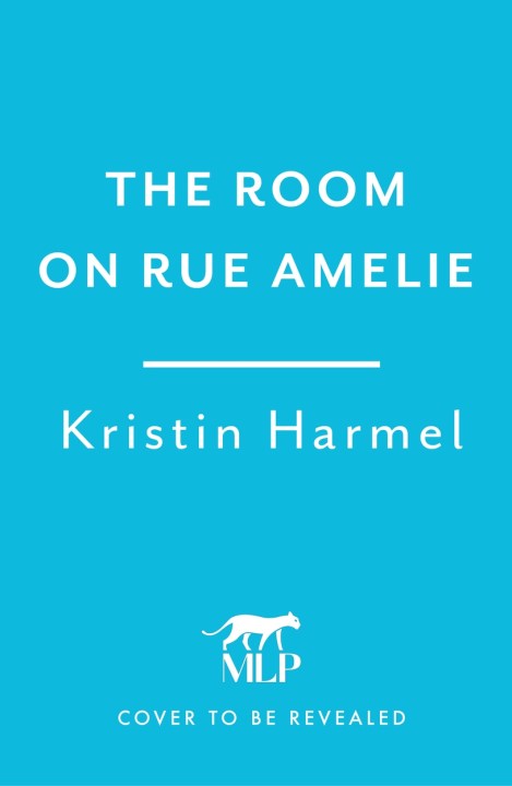 The Room on Rue Amelie