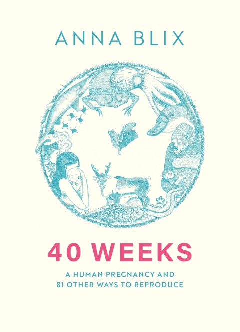 40 Weeks